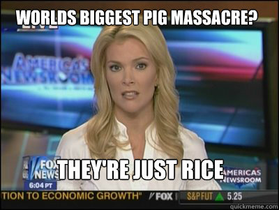 Worlds biggest pig massacre? They're just rice porridge, essentially.  Megyn Kelly