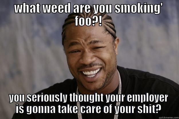 WHAT WEED ARE YOU SMOKING' FOO?! YOU SERIOUSLY THOUGHT YOUR EMPLOYER IS GONNA TAKE CARE OF YOUR SHIT? Xzibit meme