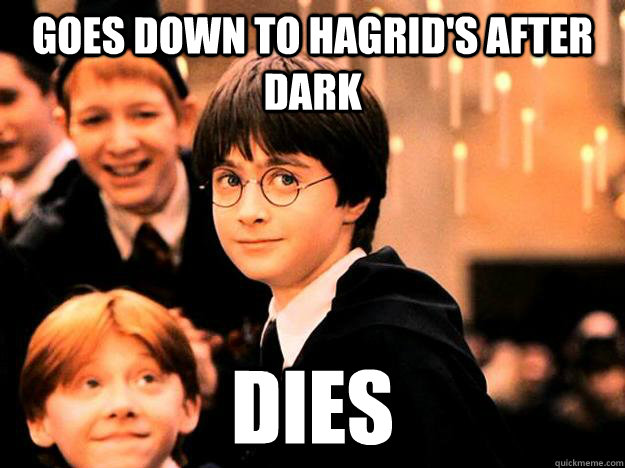 Goes down to hagrid's after dark dies  Hogwarts First Year