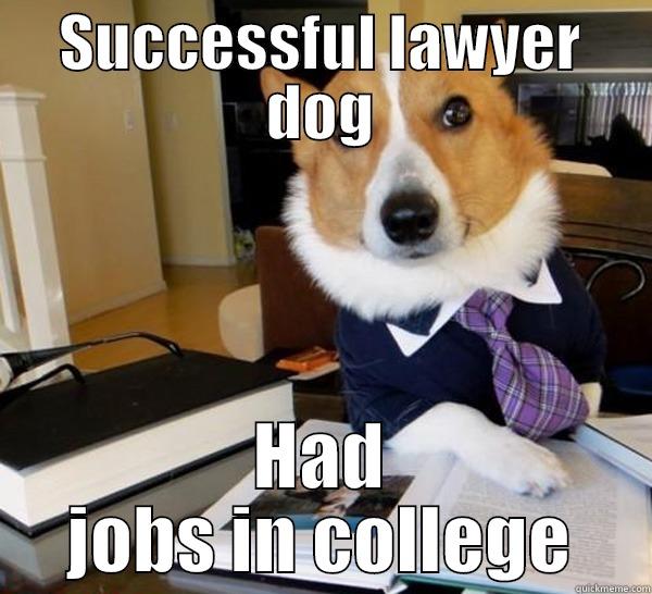 SUCCESSFUL LAWYER DOG HAD JOBS IN COLLEGE Lawyer Dog