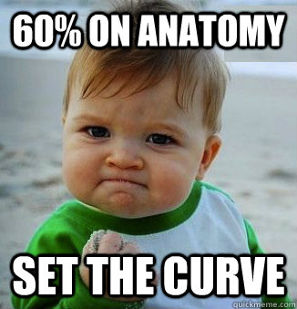 60% on anatomy set the curve  