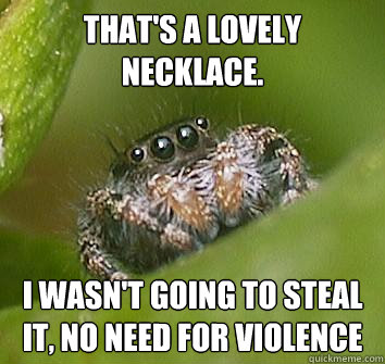 that's a lovely necklace. i wasn't going to steal it, no need for violence  Misunderstood Spider