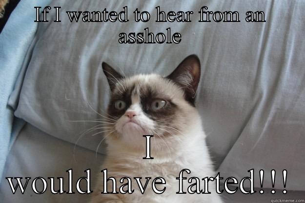 IF I WANTED TO HEAR FROM AN ASSHOLE I WOULD HAVE FARTED!!! Grumpy Cat