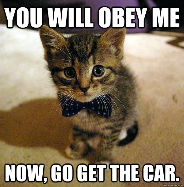 You will obey me Now, go get the car.  