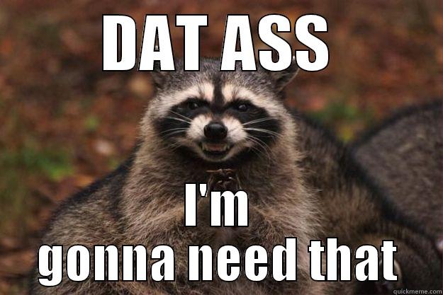 Rocket needs that booty - DAT ASS I'M GONNA NEED THAT Evil Plotting Raccoon