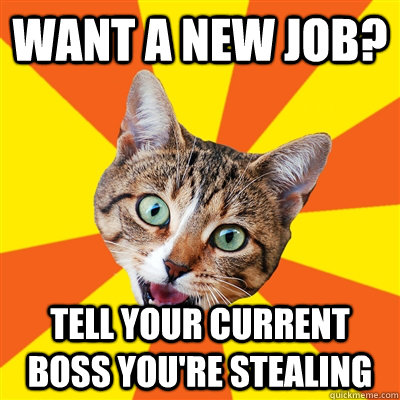 want a new job? tell your current boss you're stealing - want a new job? tell your current boss you're stealing  Bad Advice Cat