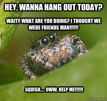 Hey, wanna hang out today? Wait!! what are you doing? I thought we were friends man!!!!!! SQUISH..... Oww, help me!!!!!!  Misunderstood Spider