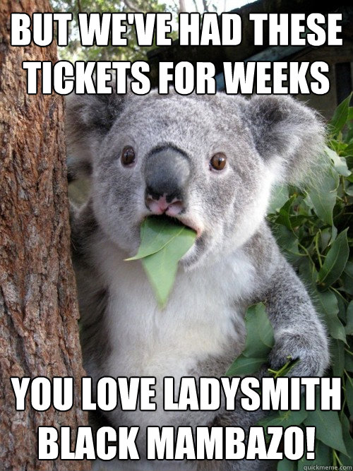 BUT WE'VE HAD THESE TICKETS FOR WEEKS YOU﻿ LOVE LADYSMITH BLACK MAMBAZO!  koala bear