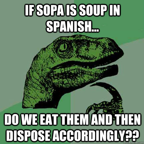 If SOPA is SOUP in spanish... do we eat them and then dispose accordingly?? - If SOPA is SOUP in spanish... do we eat them and then dispose accordingly??  Philosoraptor