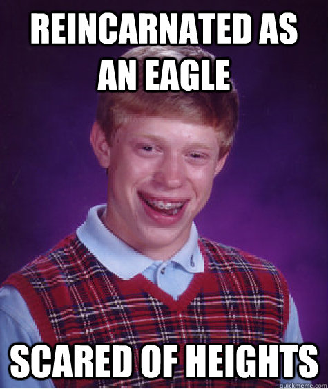 Reincarnated as an Eagle  Scared of heights   Bad Luck Brian