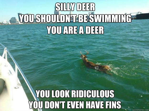 SILLY DEER
YOU SHOULDN'T BE SWIMMING
YOU ARE A DEER YOU LOOK RIDICULOUS 
YOU DON'T EVEN HAVE FINS
 - SILLY DEER
YOU SHOULDN'T BE SWIMMING
YOU ARE A DEER YOU LOOK RIDICULOUS 
YOU DON'T EVEN HAVE FINS
  Silly Deer