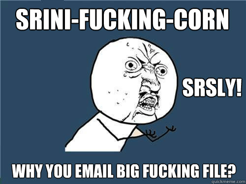 Srini-Fucking-Corn Why you email big fucking file? srsly!  Why you no