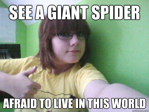 See a giant spider afraid to live in this world - See a giant spider afraid to live in this world  Anonymoose