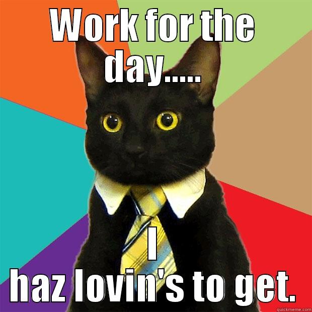 WORK FOR THE DAY..... I HAZ LOVIN'S TO GET. Business Cat