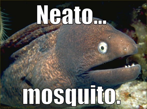 NEATO... MOSQUITO. Bad Joke Eel