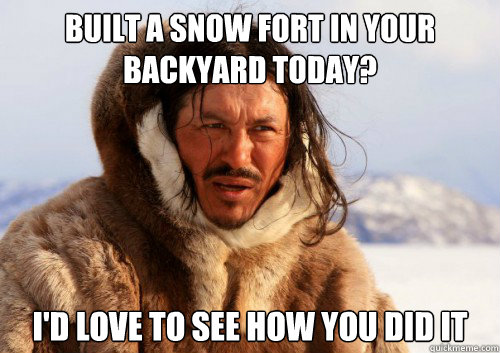 built a snow fort in your backyard today? i'd love to see how you did it  