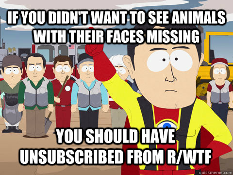 if you didn't want to see animals with their faces missing you should have unsubscribed from r/wtf   Captain Hindsight