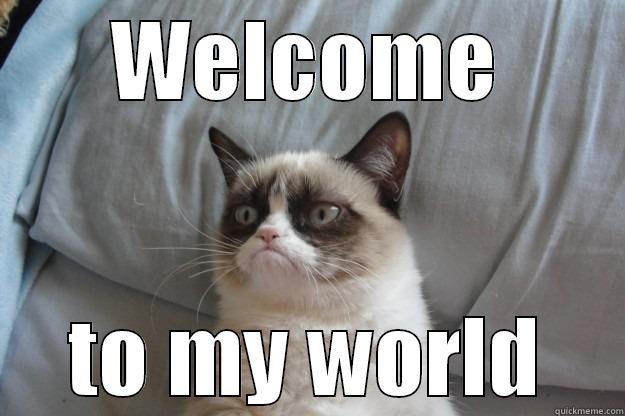 WELCOME TO MY WORLD Grumpy Cat