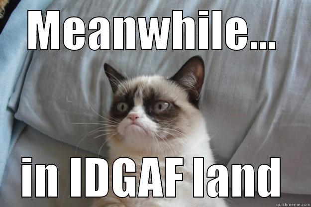 poop stick - MEANWHILE... IN IDGAF LAND Grumpy Cat