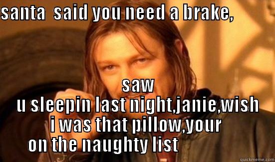 SANTA  SAID YOU NEED A BRAKE,                                         SAW  U SLEEPIN LAST NIGHT,JANIE,WISH I WAS THAT PILLOW,YOUR ON THE NAUGHTY LIST                    Boromir