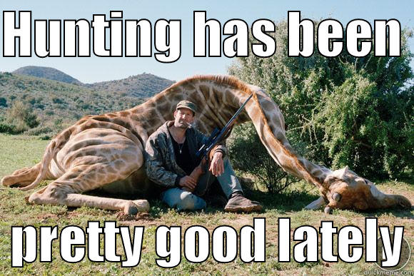 Giraffe Hunter - HUNTING HAS BEEN    PRETTY GOOD LATELY Misc