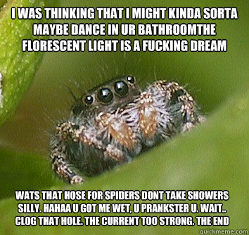 i was thinking that i might kinda sorta  maybe dance in ur bathroomthe florescent light is a fucking dream wats that hose for spiders dont take showers silly. hahaa u got me wet, u prankster u. wait.. clog that hole. the current too strong. the end  Misunderstood Spider