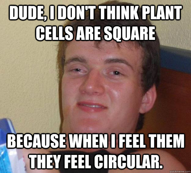 Dude, I don't think plant cells are square because when I feel them they feel circular. - Dude, I don't think plant cells are square because when I feel them they feel circular.  10 Guy