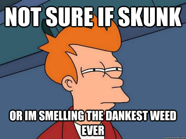 Not sure if skunk or im smelling the dankest weed ever  Futurama Fry