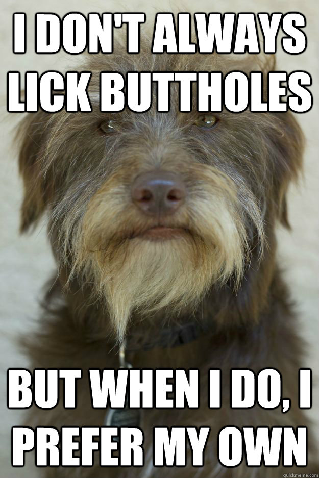 I don't always lick buttholes but when i do, i prefer my own  The Most Interesting Dog in the World