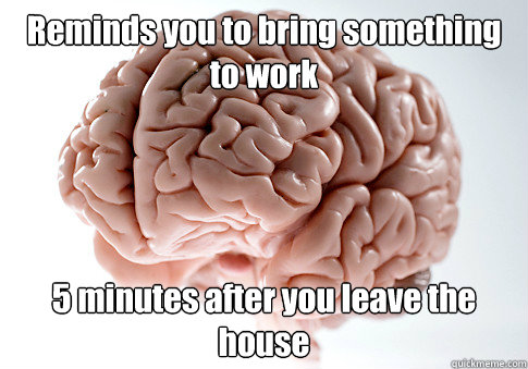 Reminds you to bring something to work 5 minutes after you leave the house   Scumbag Brain