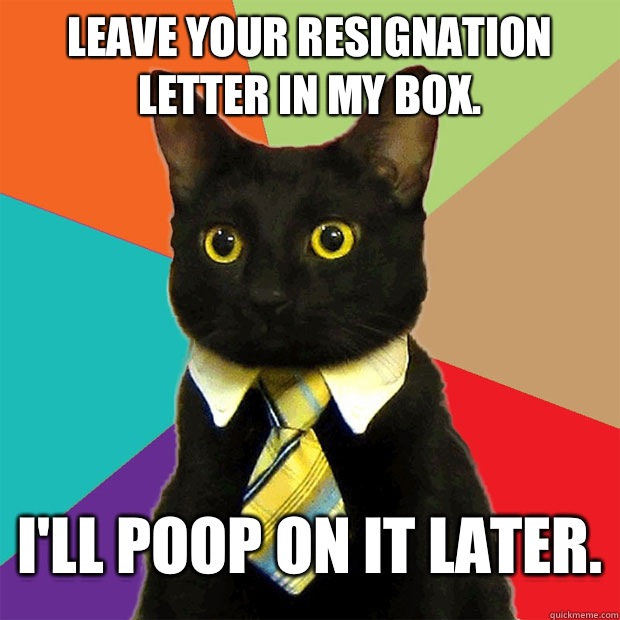 Leave your resignation letter in my box. I'll poop on it later.  Business Cat