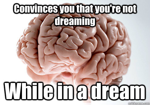 Convinces you that you're not dreaming While in a dream   Scumbag Brain