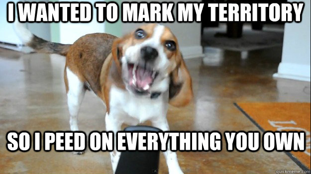 I wanted to mark my territory so I peed on everything you own - I wanted to mark my territory so I peed on everything you own  Overly Attached Beagle