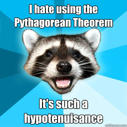 I hate using the Pythagorean Theorem It's such a hypotenuisance  Lame Pun Coon