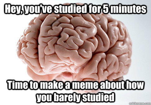 Hey, you've studied for 5 minutes Time to make a meme about how you barely studied   Scumbag Brain