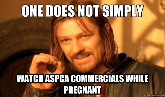 One Does Not Simply watch ASPCA commercials while pregnant - One Does Not Simply watch ASPCA commercials while pregnant  Boromir