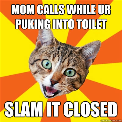 Mom calls while ur puking into toilet  slam it closed  Bad Advice Cat