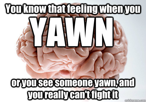 You know that feeling when you  or you see someone yawn, and you really can't fight it YAWN  Scumbag Brain