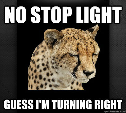 no stop light guess i'm turning right  Defeated Cheetah