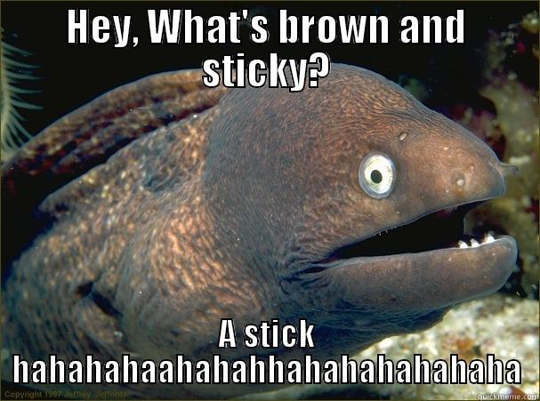 HEY, WHAT'S BROWN AND STICKY? A STICK HAHAHAHAAHAHAHHAHAHAHAHAHAHA Bad Joke Eel