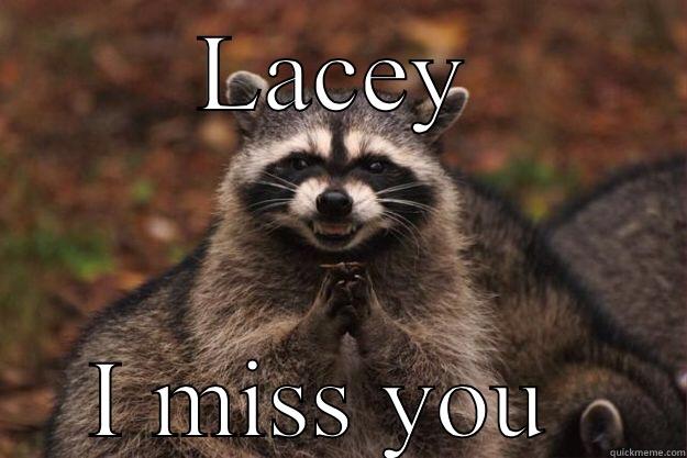 LACEY I MISS YOU  Evil Plotting Raccoon