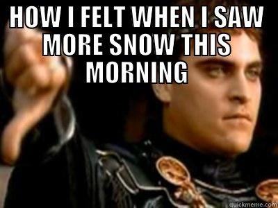 HOW I FELT WHEN I SAW MORE SNOW THIS MORNING  Downvoting Roman