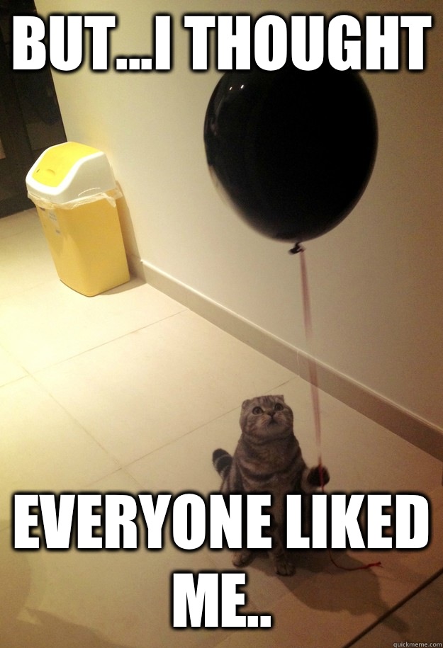 But...I thought Everyone liked me..  balloon cat