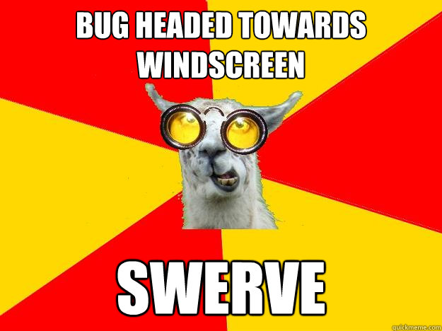 Bug headed towards windscreen swerve  