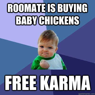 roomate is buying baby chickens free karma  Success Kid