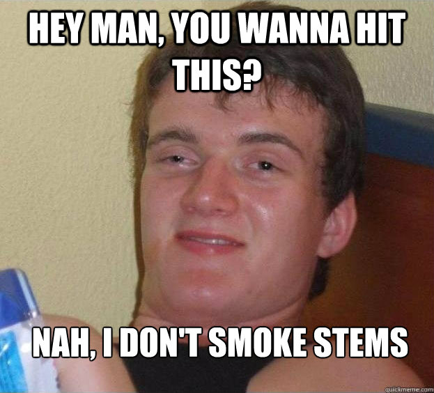 hey man, you wanna hit this? nah, i don't smoke stems  The High Guy