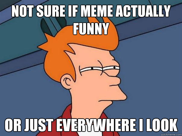 Not sure if meme actually funny or just everywhere i look  Futurama Fry