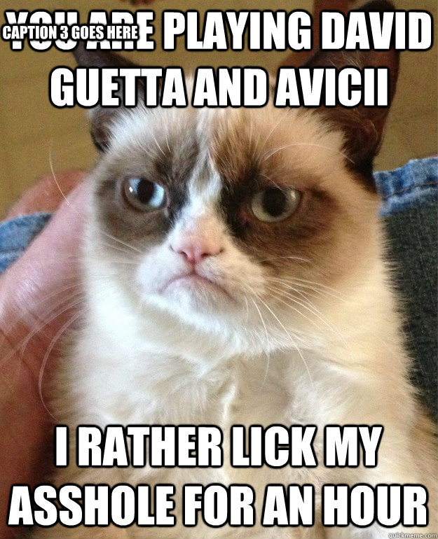 you are playing David Guetta and Avicii I rather lick my asshole for an hour Caption 3 goes here  Grumpy Cat