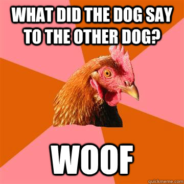 what did the dog say to the other dog? woof  Anti-Joke Chicken