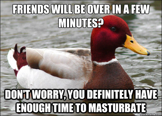 Friends will be over in a few minutes?
 Don't worry, you definitely have enough time to masturbate  Malicious Advice Mallard